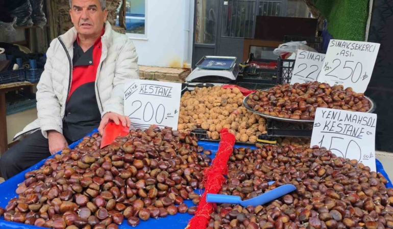 simav-kestanesi-kis-aylarinin-gozdesi-MtGQirub.jpg