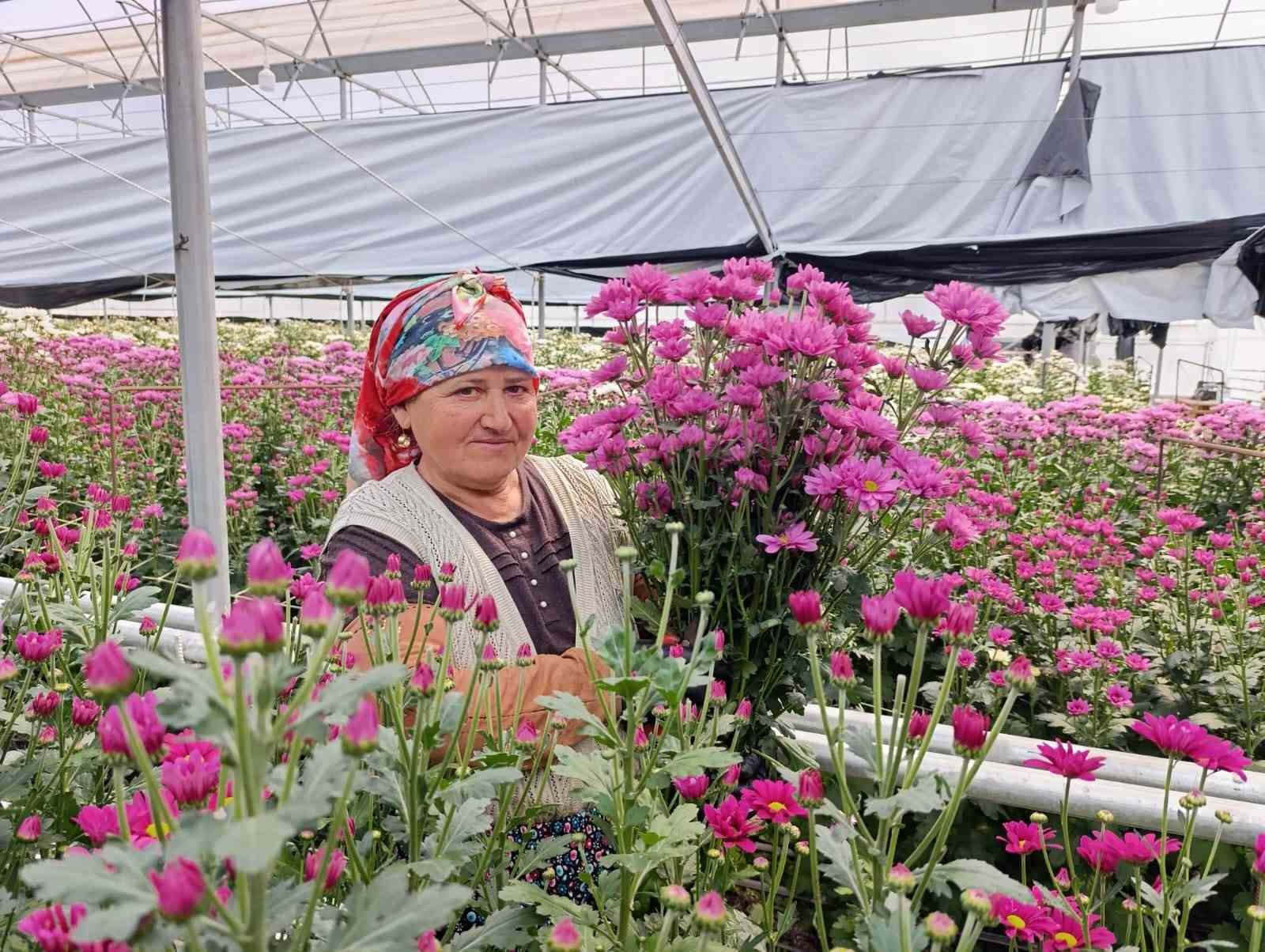 simavda jeotermal seralarda kasimpati hasadi basladi 3 MubmQZh6