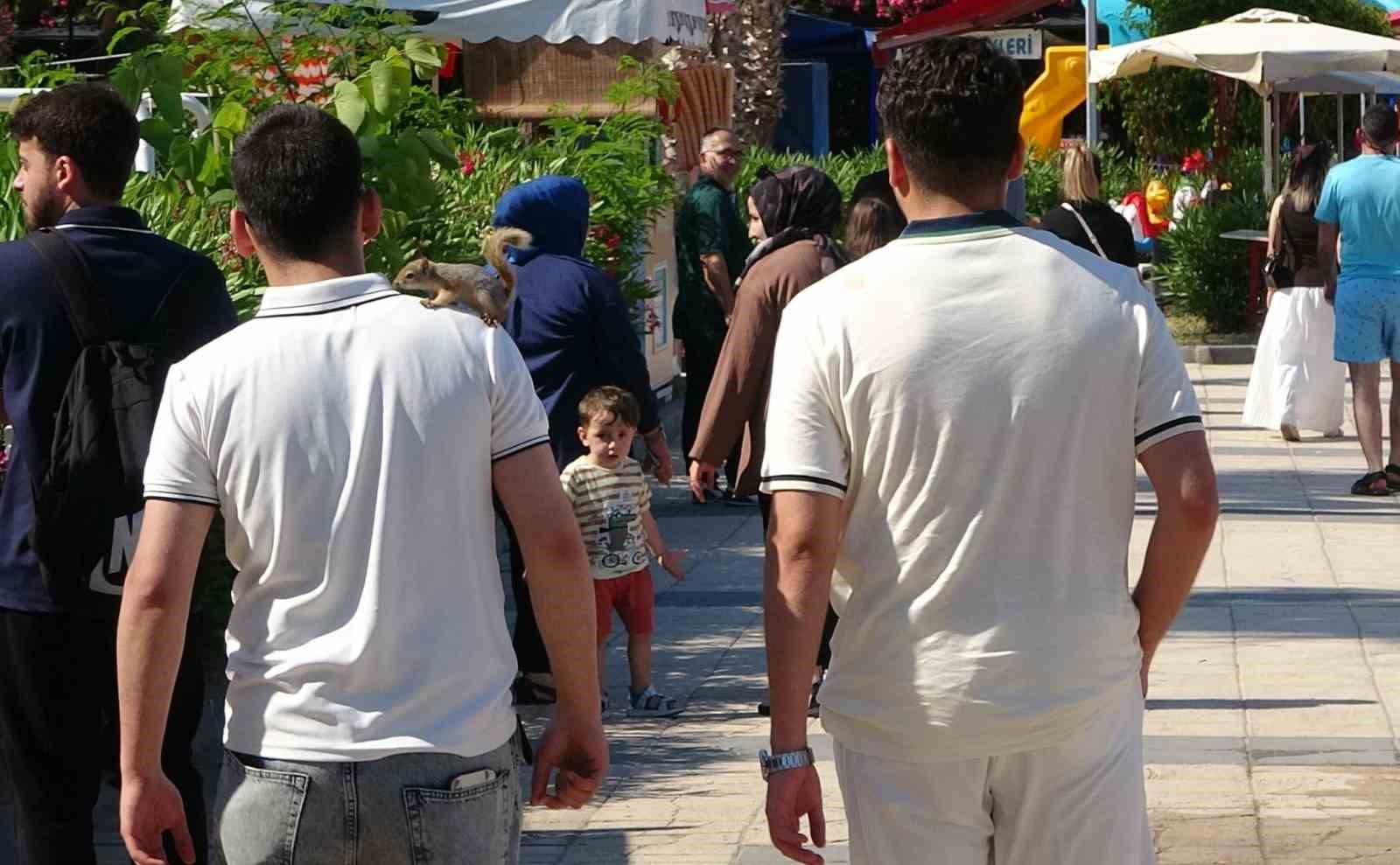 sincap tatilde yarali buldu iyilestirdi kizkalesinde gezintiye cikardi 1 SeeRZy3P