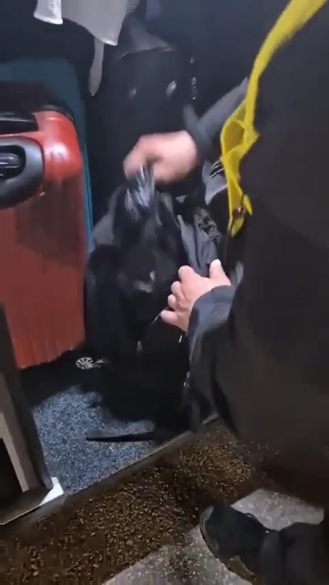 Sınır kapısında yolcu otobüsünde 1 milyon 40 bin lira ele geçirildi 6 sinir kapisinda yolcu otobusunde 1 milyon 40 bin lira ele gecirildi 2 mbUXMT2q