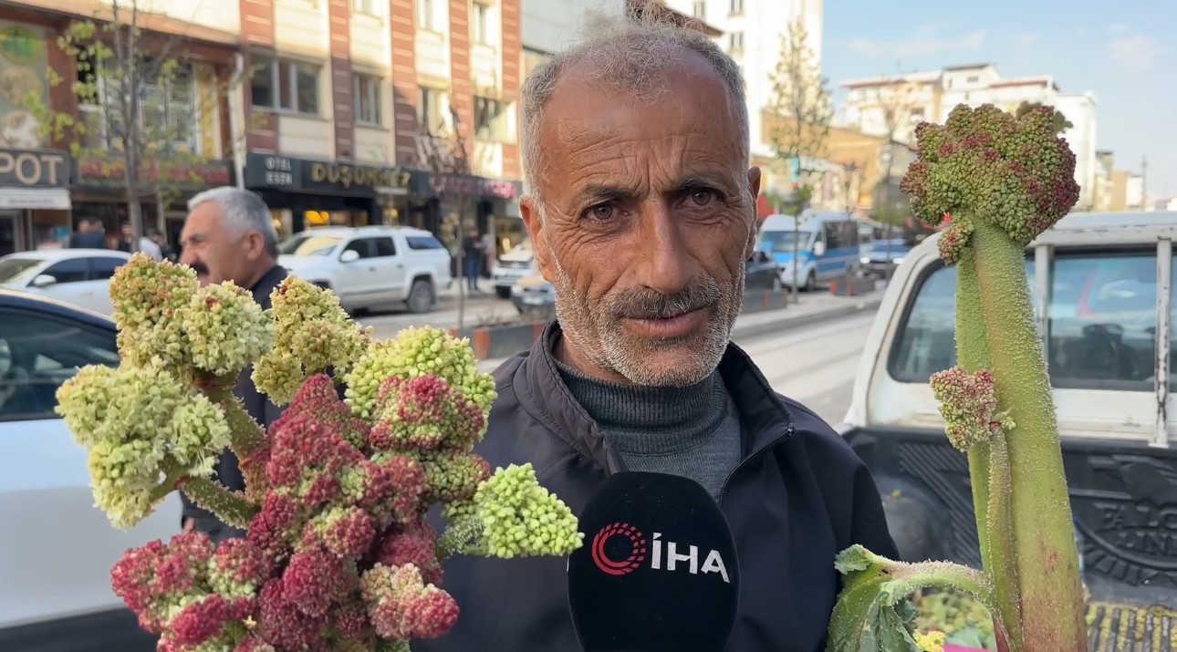 sinirdan getirilen uckunlar yuksekovada satisa sunuldu 6 ZkAe1zLO
