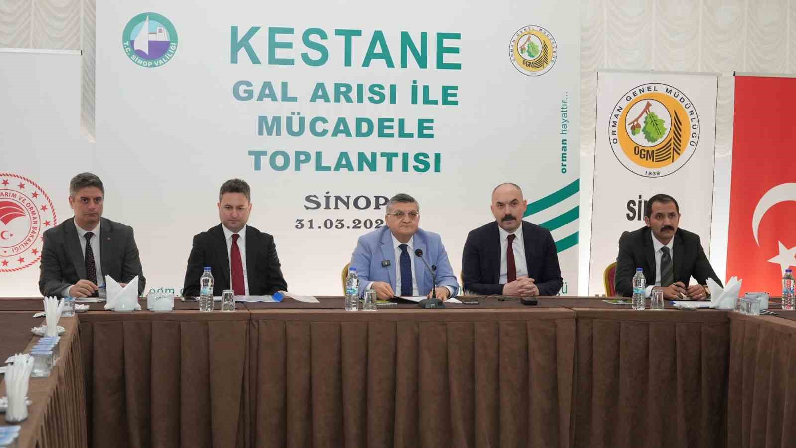 sinop kestanesi tehlikede gal arisi uretimi ve ariciligi vuruyor 3 RdcIY3IV
