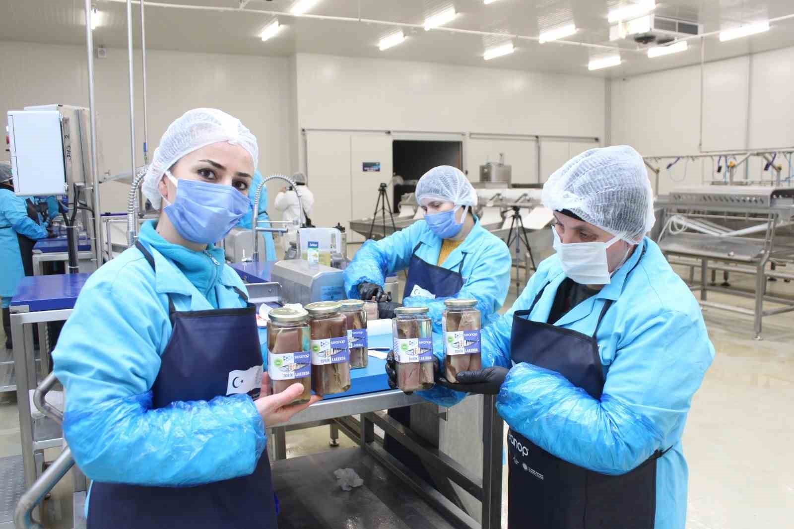 Sinop lakerdası kalkınmanın yeni markası olmaya hazırlanıyor 5 sinop lakerdasi kalkinmanin yeni markasi olmaya hazirlaniyor 1 WGryfkXt