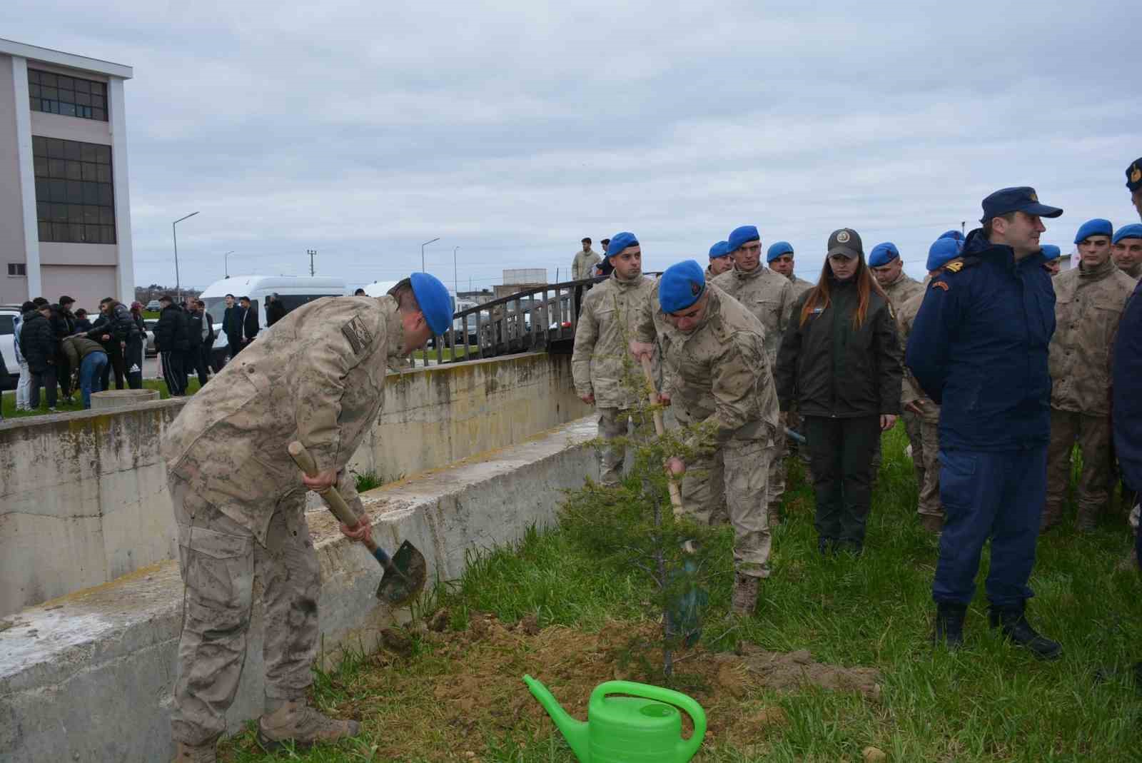 sinopta 5 bin 700 fidan toprakla bulustu 5 Rb5kvbKj