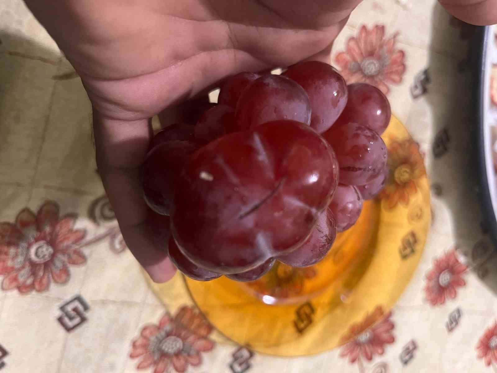 sira disi uzum tanesi gorenleri hayrete dusurdu 1