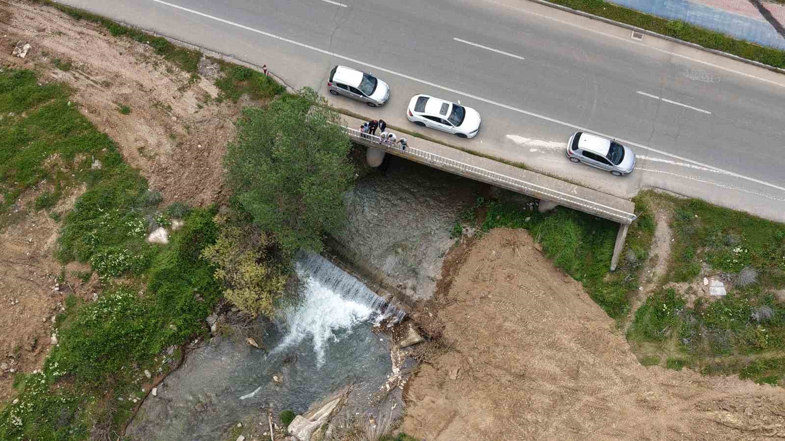 siraz baliklarinin akintiya karsi gocu suruyor 5