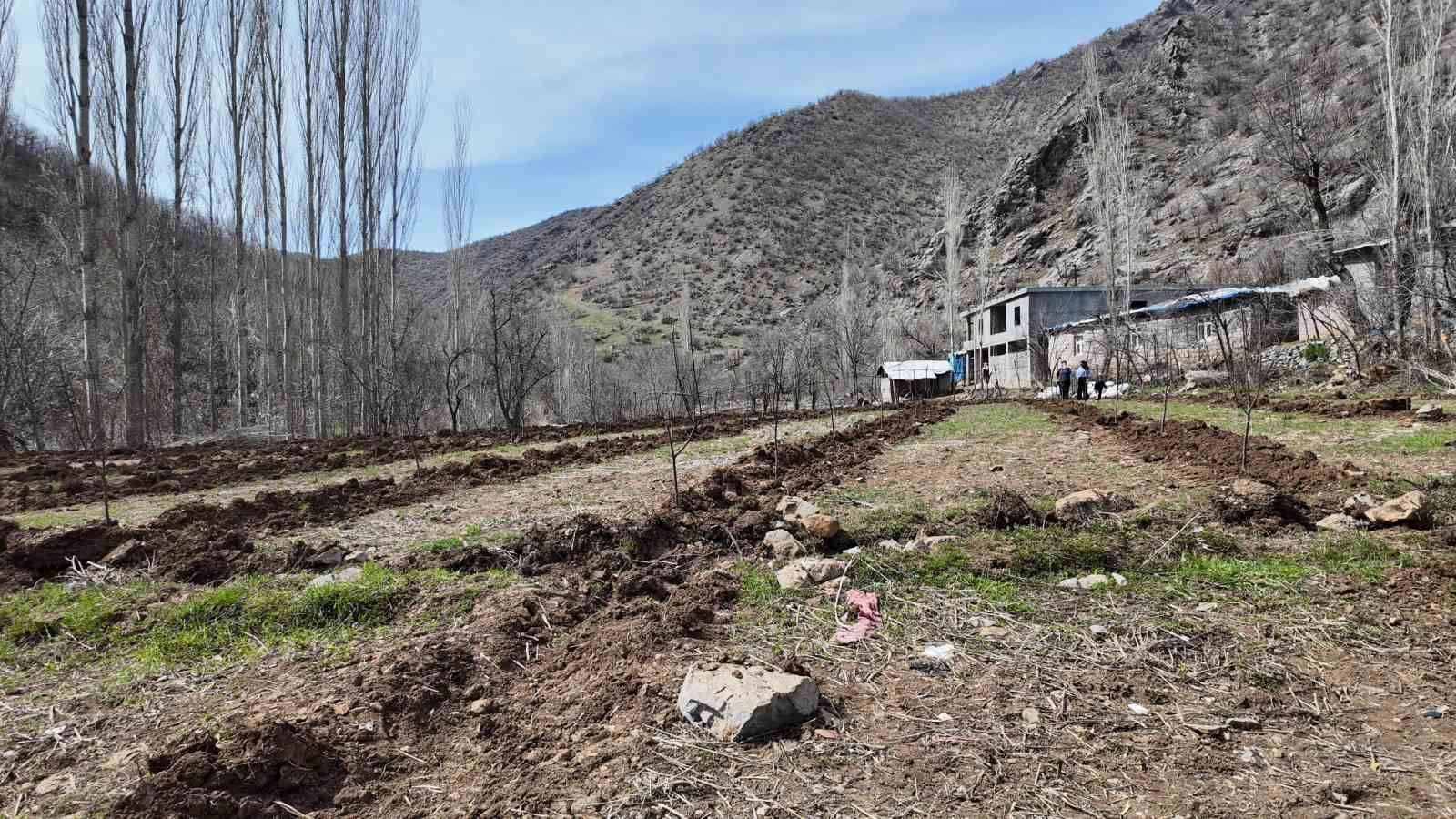 sirnakli ciftci devlet destegiyle butun arazisine meyve fidani dikti 2 jgBOW7Ma