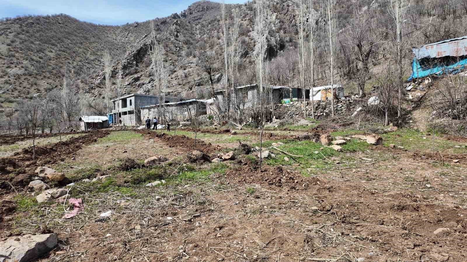 sirnakli ciftci devlet destegiyle butun arazisine meyve fidani dikti 3