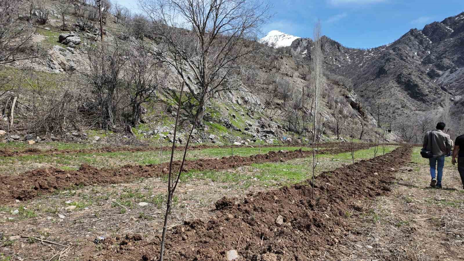sirnakli ciftci devlet destegiyle butun arazisine meyve fidani dikti 4 EHCpIlsg