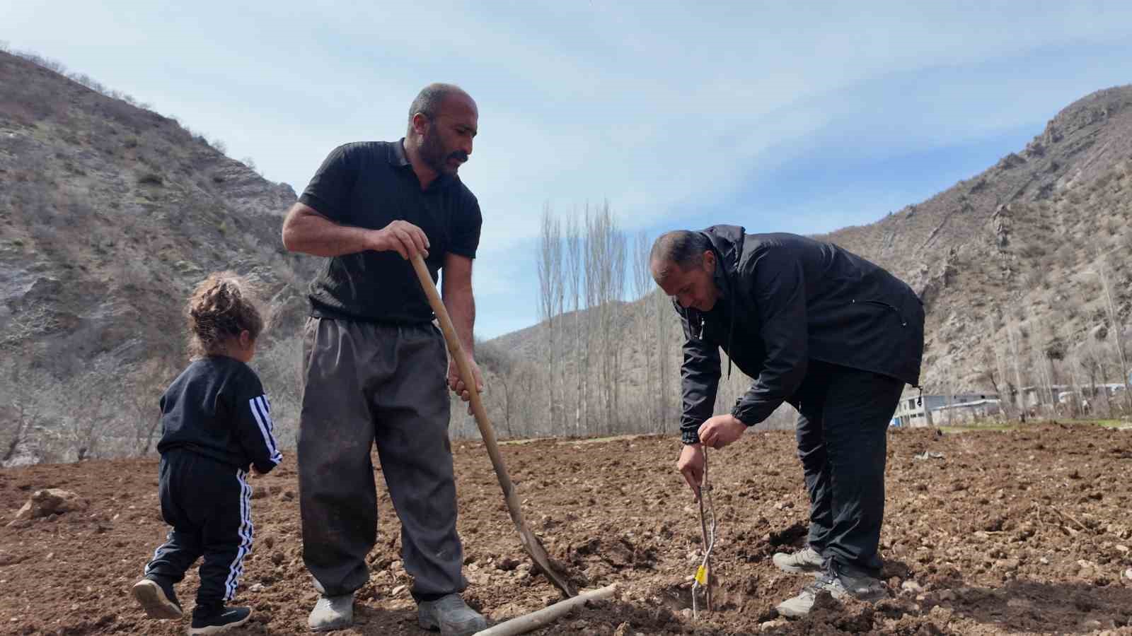 sirnakli ciftci devlet destegiyle butun arazisine meyve fidani dikti 6 7dCUmSLi