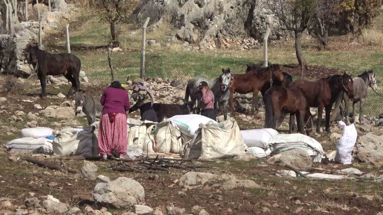 sirnakta 1 milyonun uzerinde kucukbas yaylalardan ovalara iniyor 4 sIe6HGYs