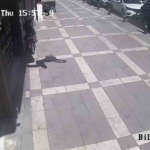 sirnakta-13-yasindaki-kiz-guvercinlere-yem-vermek-isterken-olumden-dondu-SRNJRCsT.jpg