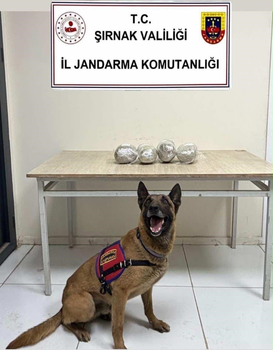 Şırnak’ta 16,7 milyon liralık uyuşturucu ve gümrük kaçağı malzeme ele geçirildi 9 sirnakta 167 milyon liralik uyusturucu ve gumruk kacagi malzeme ele gecirildi 5 D5LeHyU1