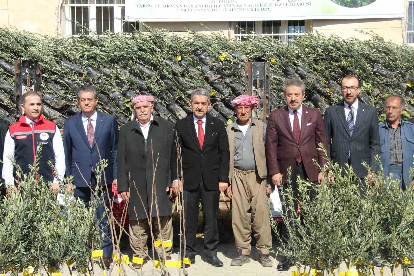 sirnakta 25 bin 200 fidan toprakla bulustu 810 dekar meyve bahcesi oluyor 2 vG7B3g4E