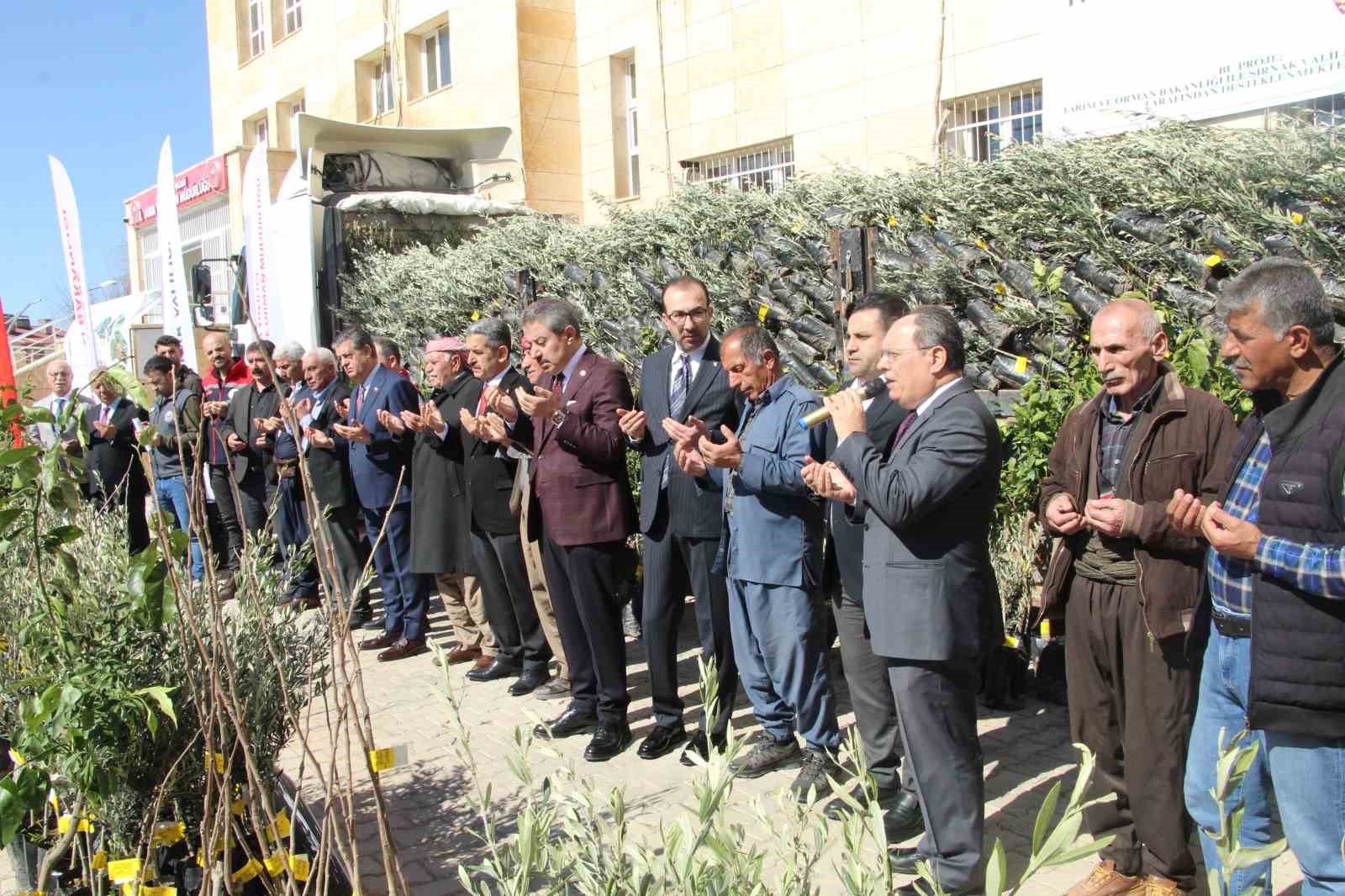 sirnakta 25 bin 200 fidan toprakla bulustu 810 dekar meyve bahcesi oluyor 4 IctgsLm4