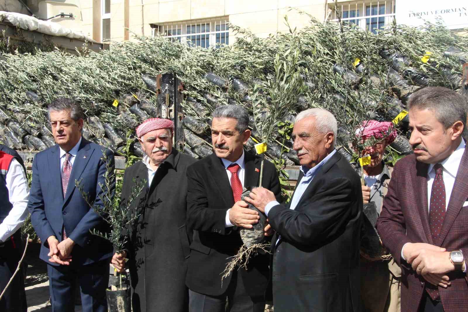 sirnakta 25 bin 200 fidan toprakla bulustu 810 dekar meyve bahcesi oluyor 6 tAdv63Tt