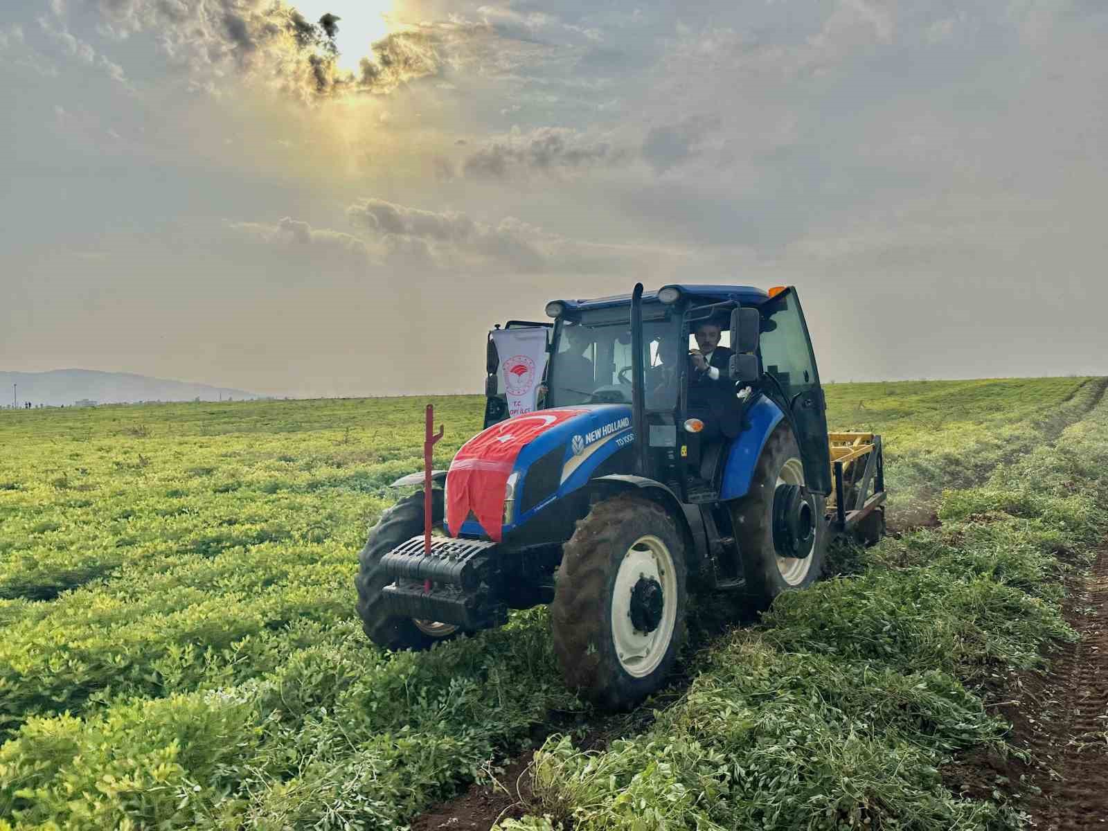 sirnakta 25 bin ton yer fistigi rekoltesi bekleniyor 1 kjePWb9j