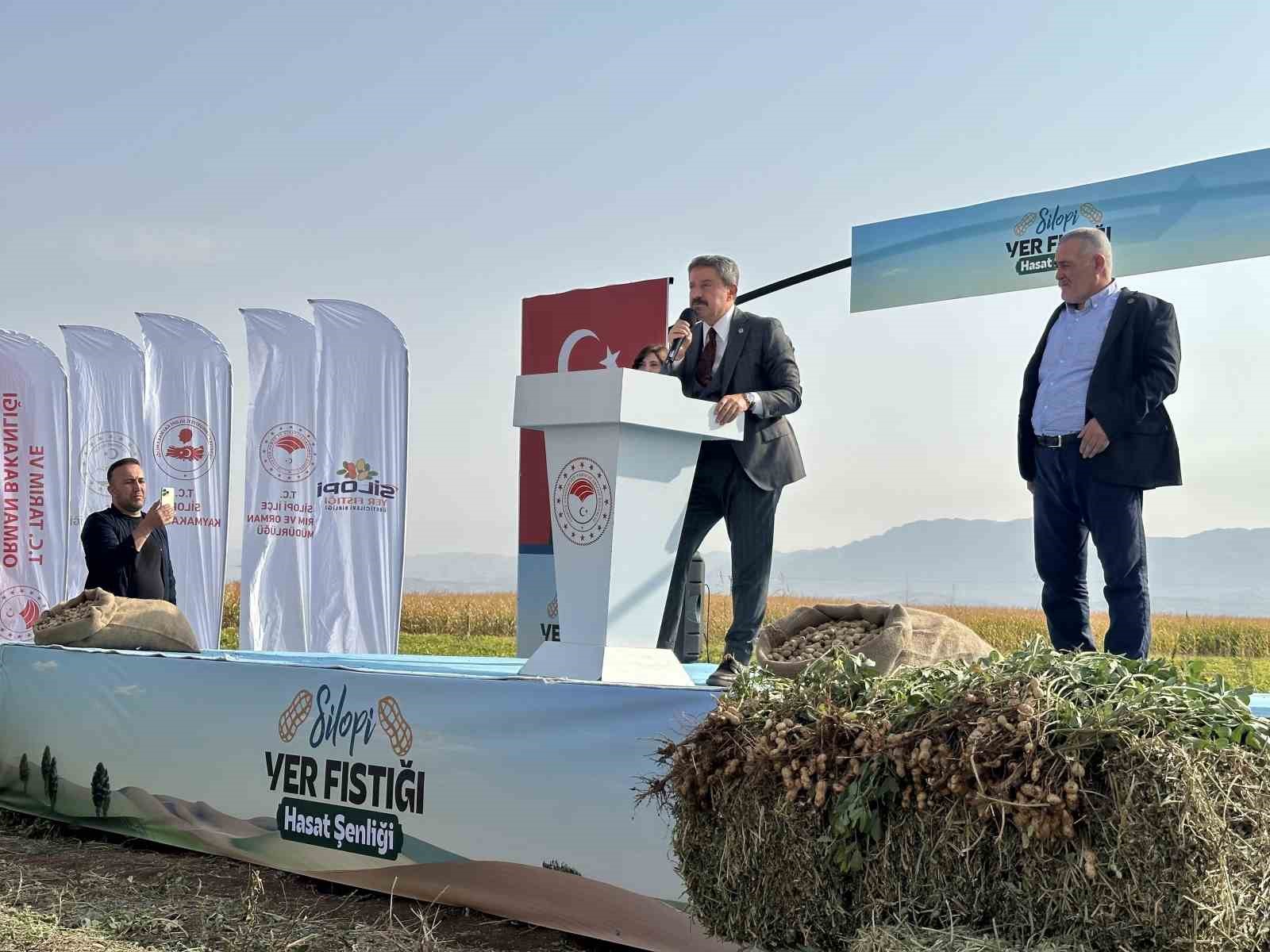 sirnakta 25 bin ton yer fistigi rekoltesi bekleniyor 6