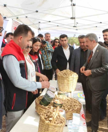 sirnakta-25-bin-ton-yer-fistigi-rekoltesi-bekleniyor-s7jUcW8b.jpg