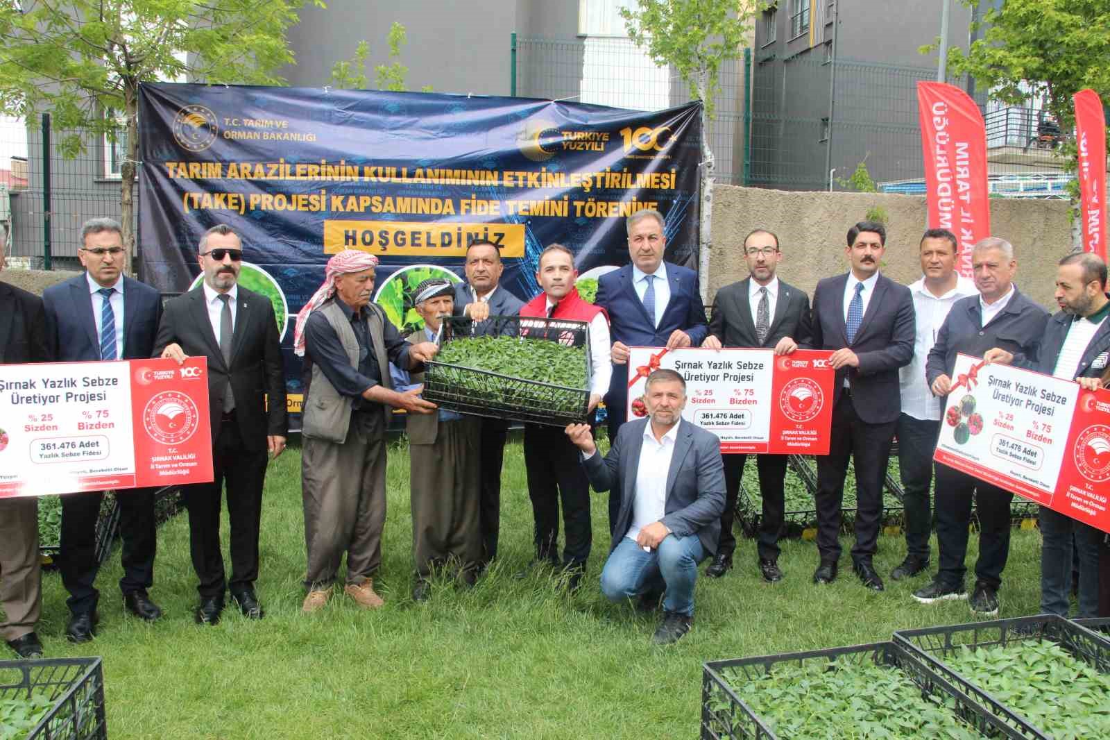 sirnakta 252 ureticiye sebze fidesi dagitildi 3 9VyglFS9