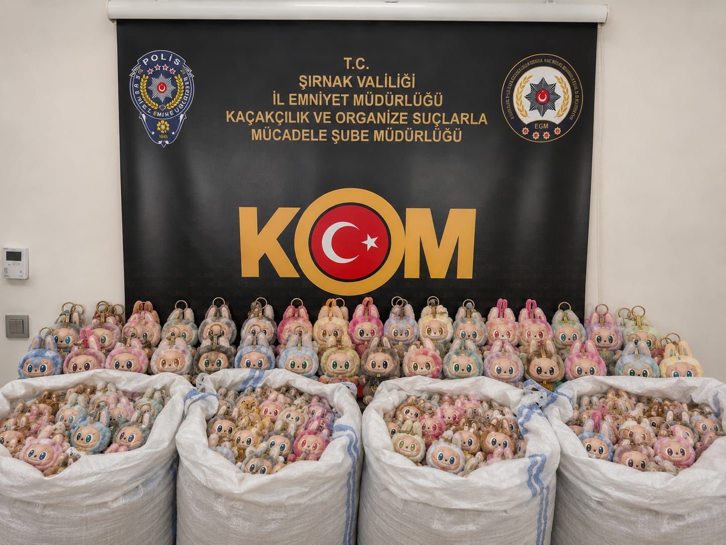 sirnakta 7 milyon 450 bin liralik kacak urun ele gecirildi 4 v47JpPWf