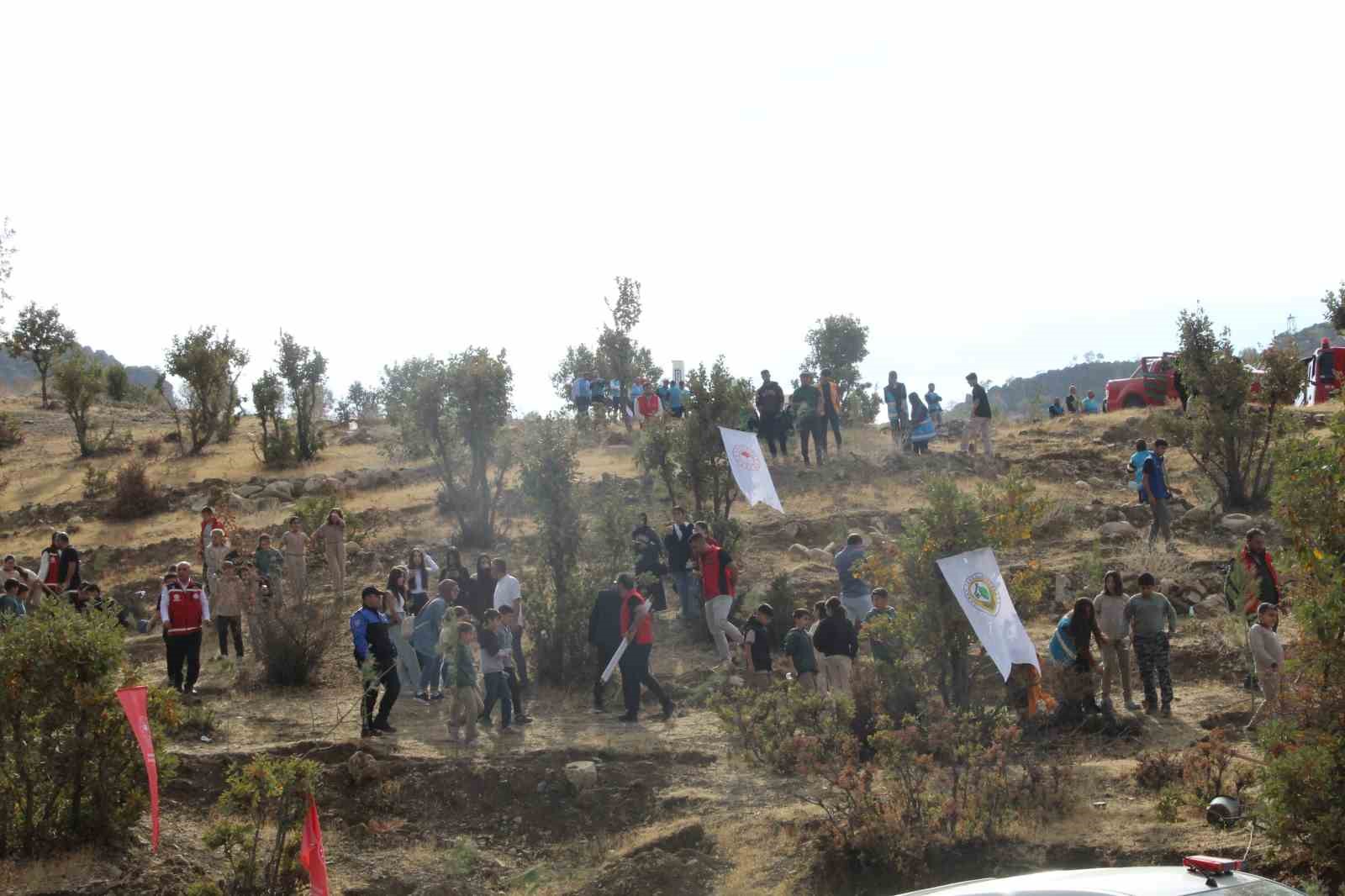 sirnakta adliye hatira ormani kuruldu 0 OM5eeXVh