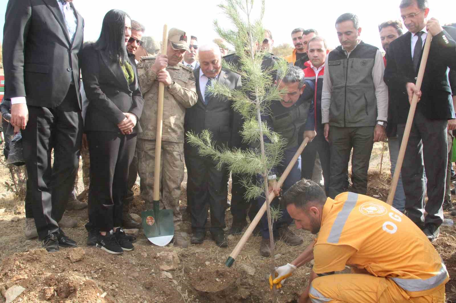 sirnakta adliye hatira ormani kuruldu 3 VFwABwIM