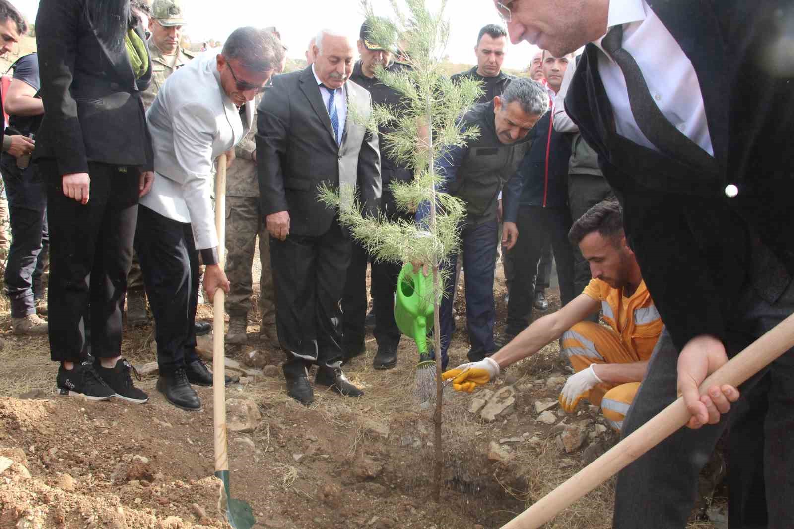 sirnakta adliye hatira ormani kuruldu 4 4gI9qZbv