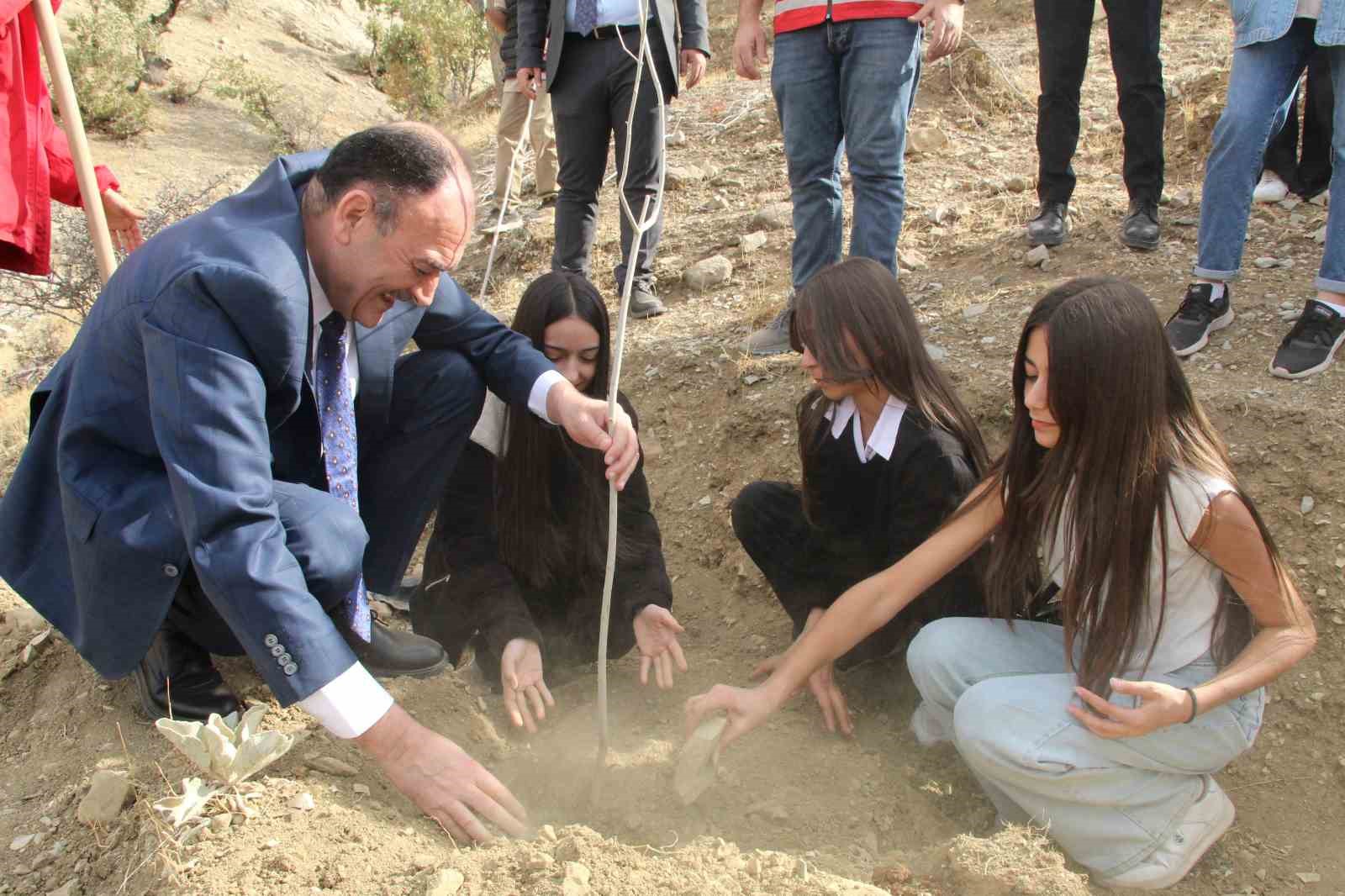 sirnakta adliye hatira ormani kuruldu 6 asqmdUQA