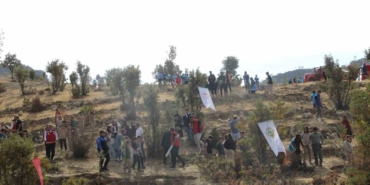 sirnakta-adliye-hatira-ormani-kuruldu-D1OYnxiP.jpg