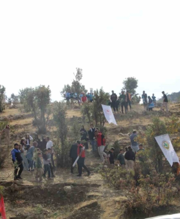 sirnakta-adliye-hatira-ormani-kuruldu-D1OYnxiP.jpg