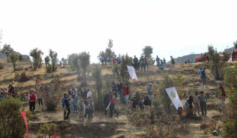 sirnakta-adliye-hatira-ormani-kuruldu-D1OYnxiP.jpg