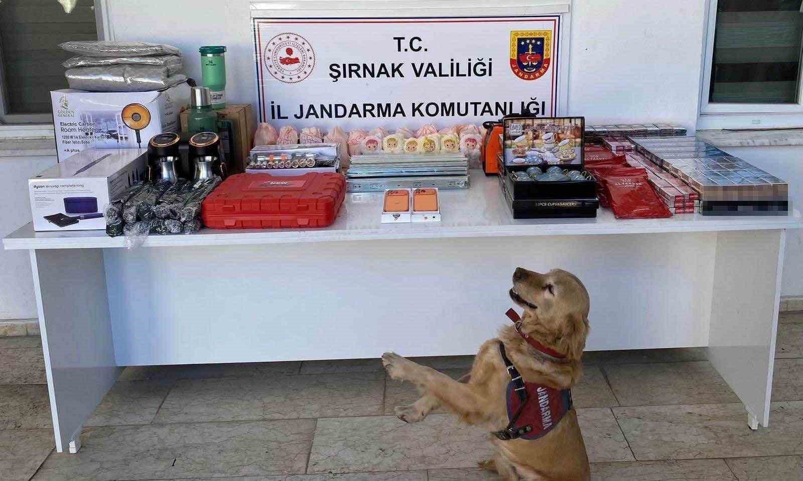 sirnakta aranan 34 sahis yakalandi 1