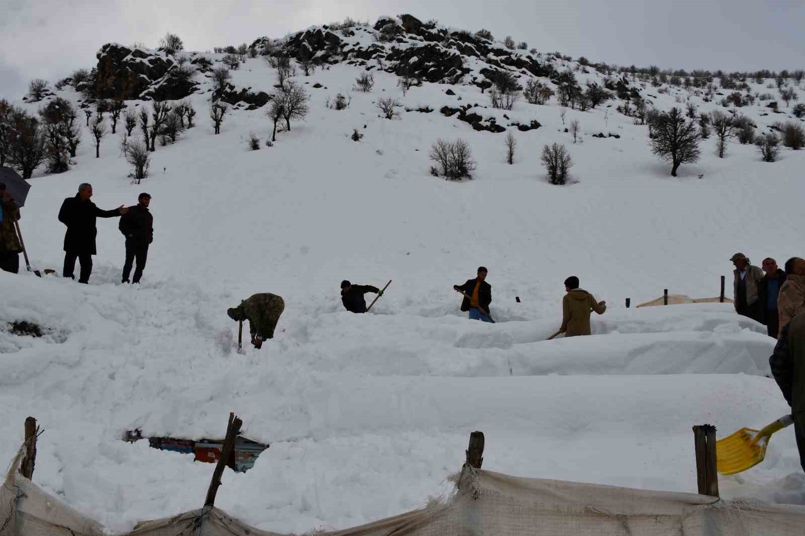 sirnakta bal arilari cig altinda kaldi 0 8fRgmvUT