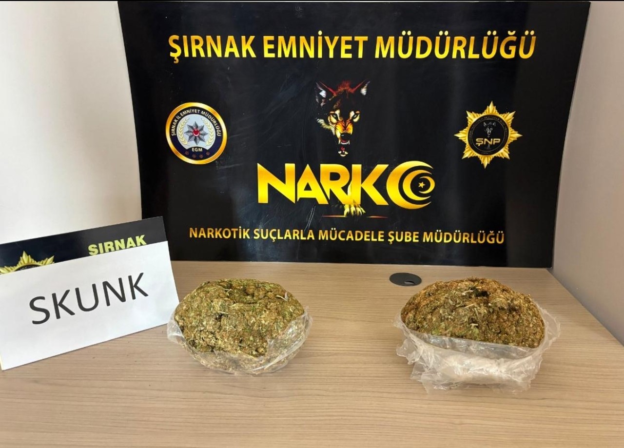 Şırnak’ta durdurulan araçta 1 kilogram skunk ele geçirildi 5 sirnakta durdurulan aracta 1 kilogram skunk ele gecirildi 1 ZzaWrOkG