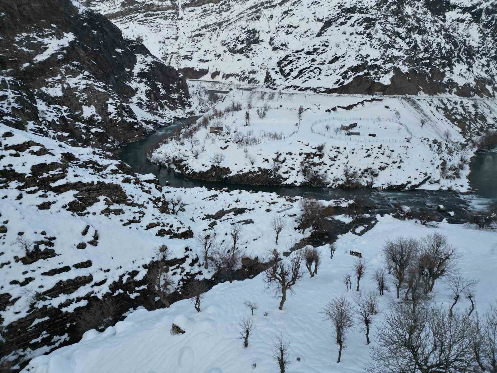 sirnakta etkili olan karla kanlidere beyaza burundu 4