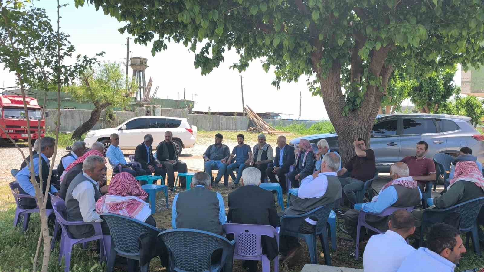 Şırnak’ta göçerler yüzlerce koyunu imece usulü kırkıyor 5 sirnakta gocerler yuzlerce koyunu imece usulu kirkiyor 1 n51yJ2bP