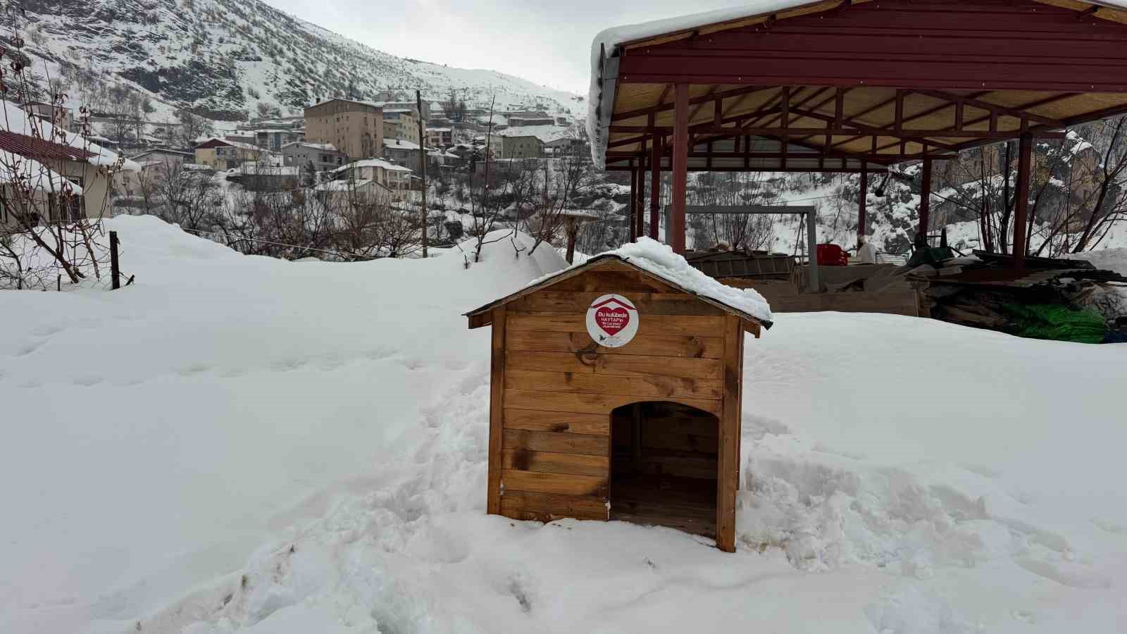sirnakta gonullulerde sokak hayvanlari icin barinak ve mama destegi 6 sfUXyrQ6