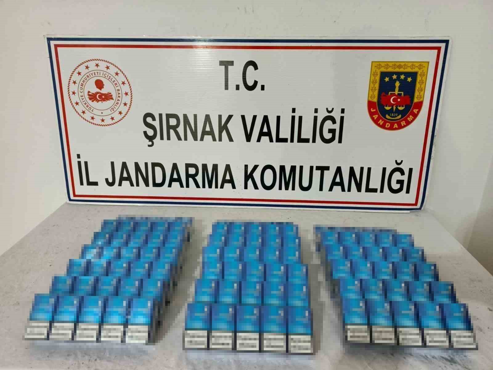 sirnakta jandarma ekipleri cephanelik ele gecirdi 1 a4YBzF3X