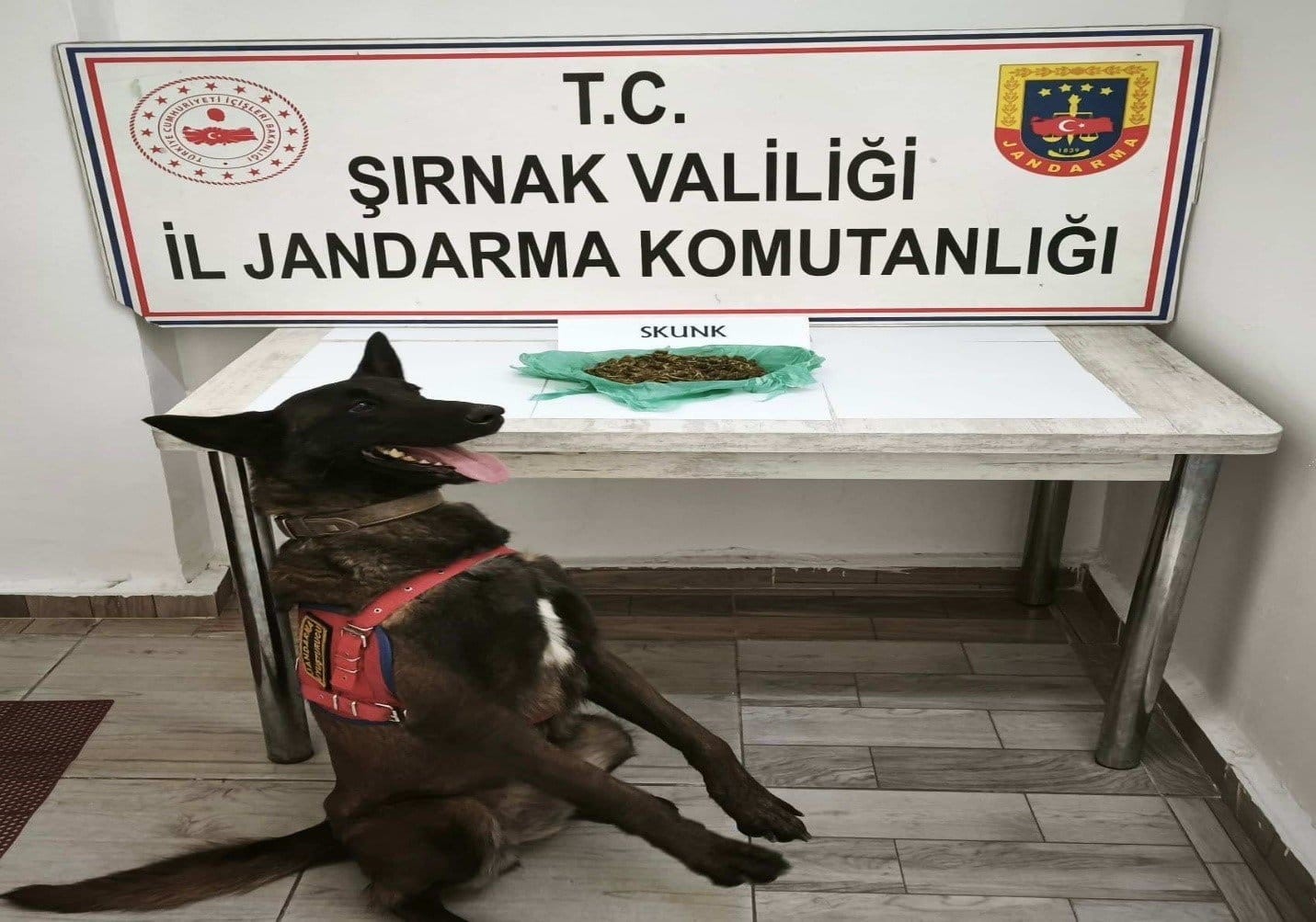sirnakta jandarma ekiplerinden asayis narkotik ve kacakcilik operasyonu 27 tutuklama 2 KMzV7NiM