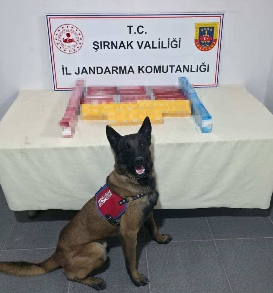 sirnakta jandarma ekiplerinden kacakciliga darbe 6 aLNQhZjf