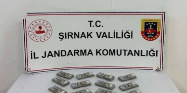 sirnakta-jandarma-ekiplerinden-kacakciliga-darbe-OgmwMpeC.jpg