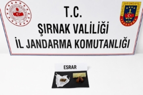 İnsan kaçakçısı tır sürücüsü tutuklandı 3 thumbnail