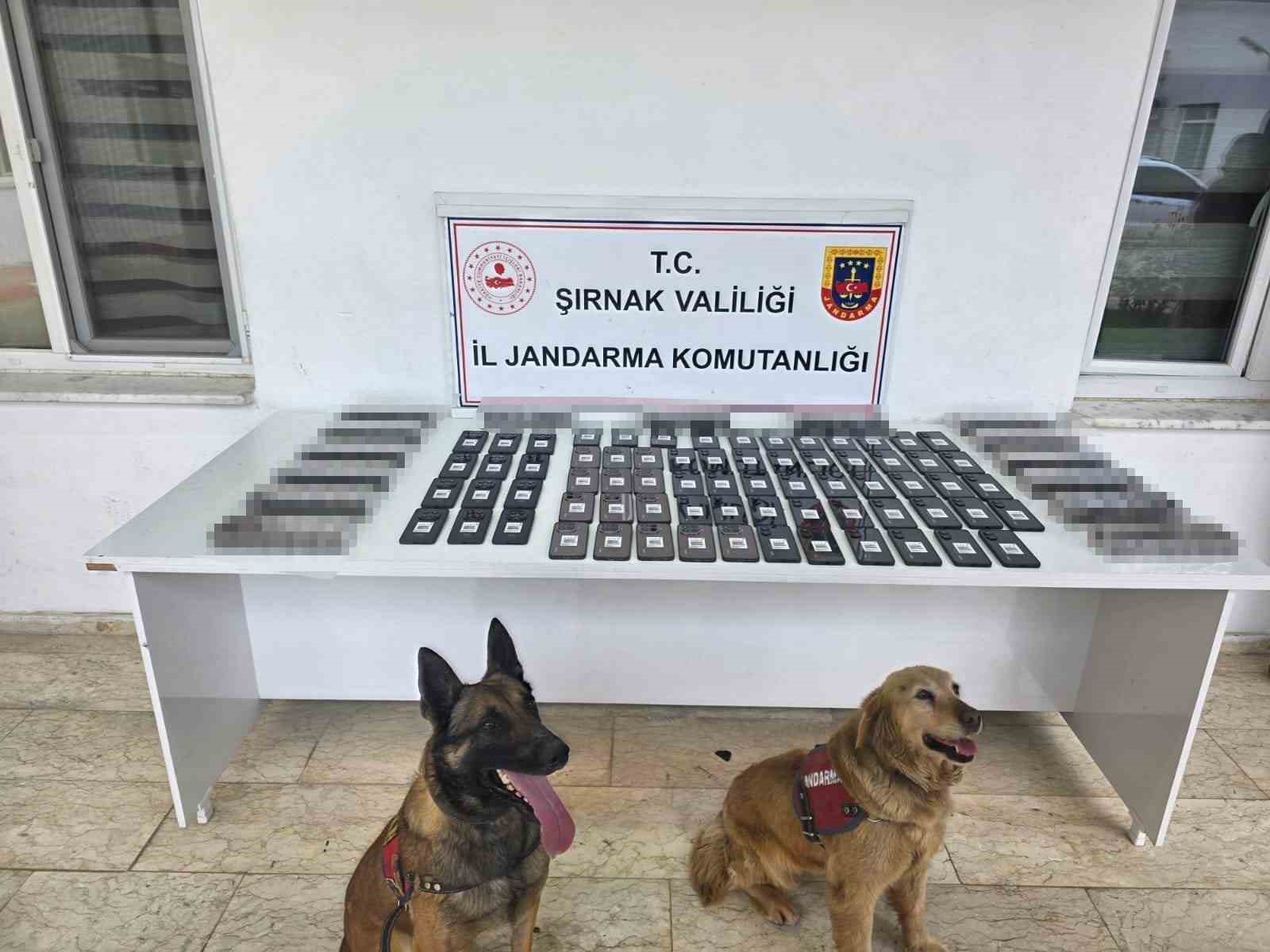 sirnakta jandarmadan asayis kacakcilik ve narkotik operasyonu 0 HddsmWEM