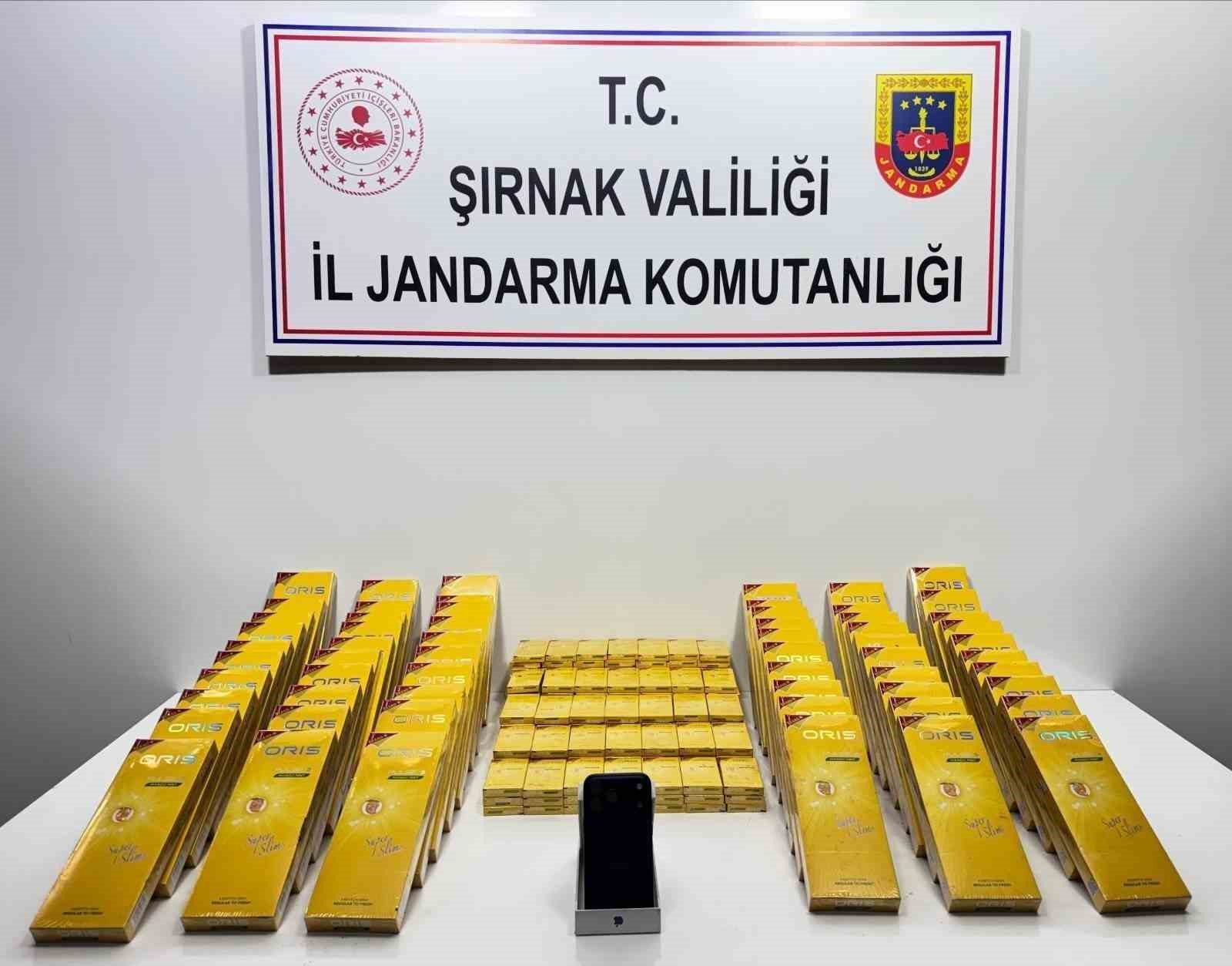 sirnakta jandarmadan asayis kacakcilik ve narkotik operasyonu 1