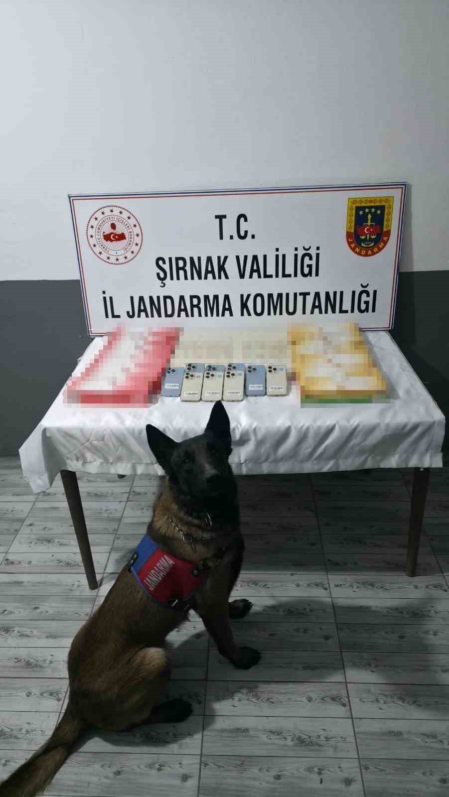sirnakta jandarmadan kacakciliga buyuk darbe 5