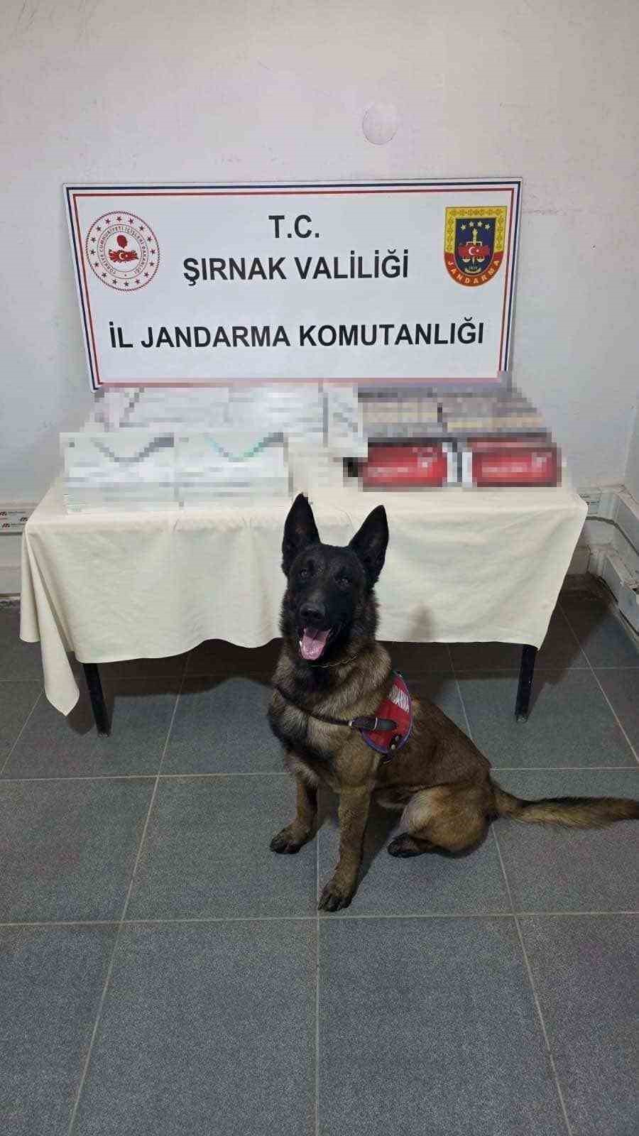 sirnakta jandarmadan kacakcilik operasyonu 27 milyon liralik kacak malzeme ele gecirildi 4 QnAbOs2I