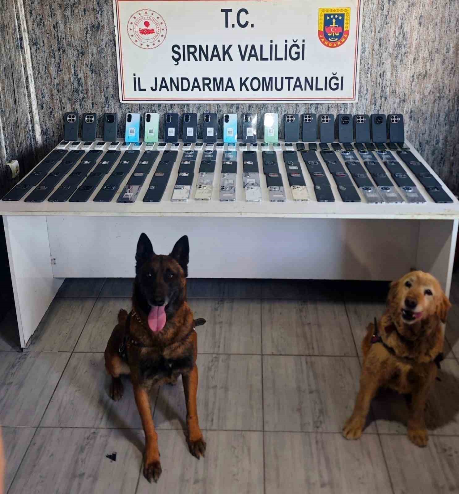 Şırnak’ta jandarmadan kaçakçılık operasyonu: 34,5 milyon liralık kaçak malzeme ele geçirildi 10 sirnakta jandarmadan kacakcilik operasyonu 345 milyon liralik kacak malzeme ele gecirildi 6 7HOAdkwR