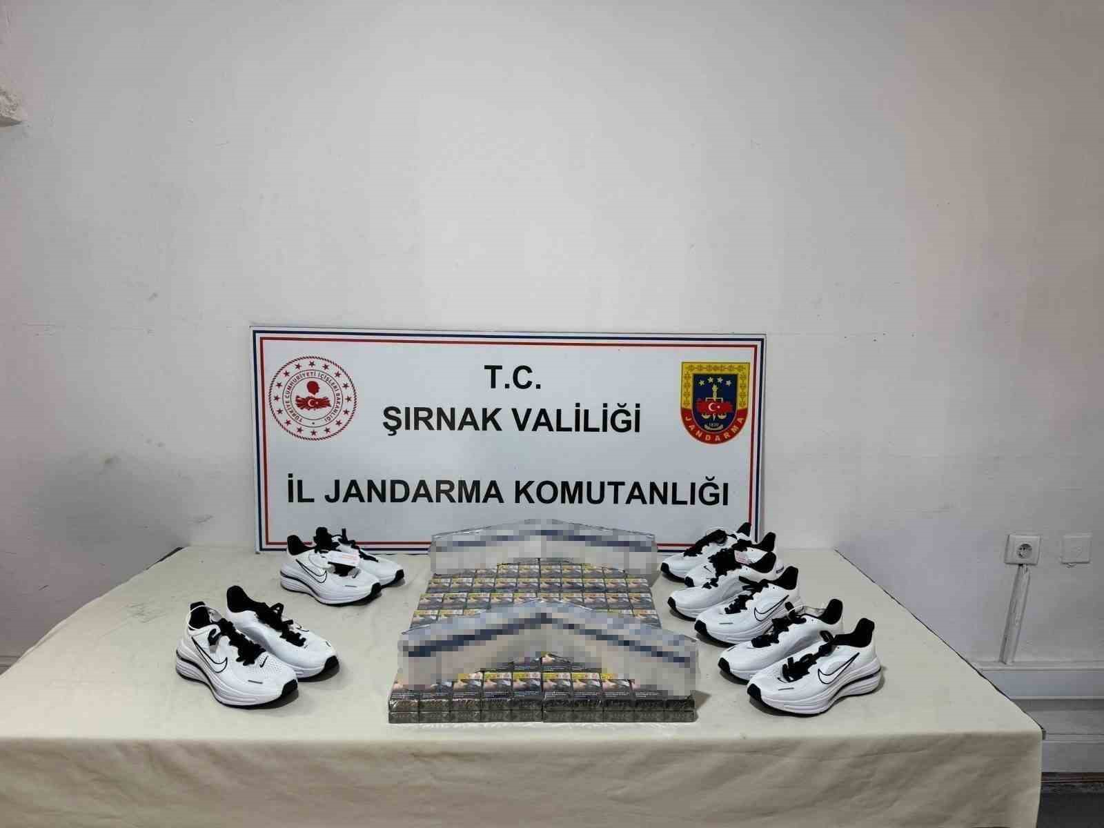 sirnakta jandarmadan kacakcilik operasyonu 4 tutuklama 2 dO5fbfnV