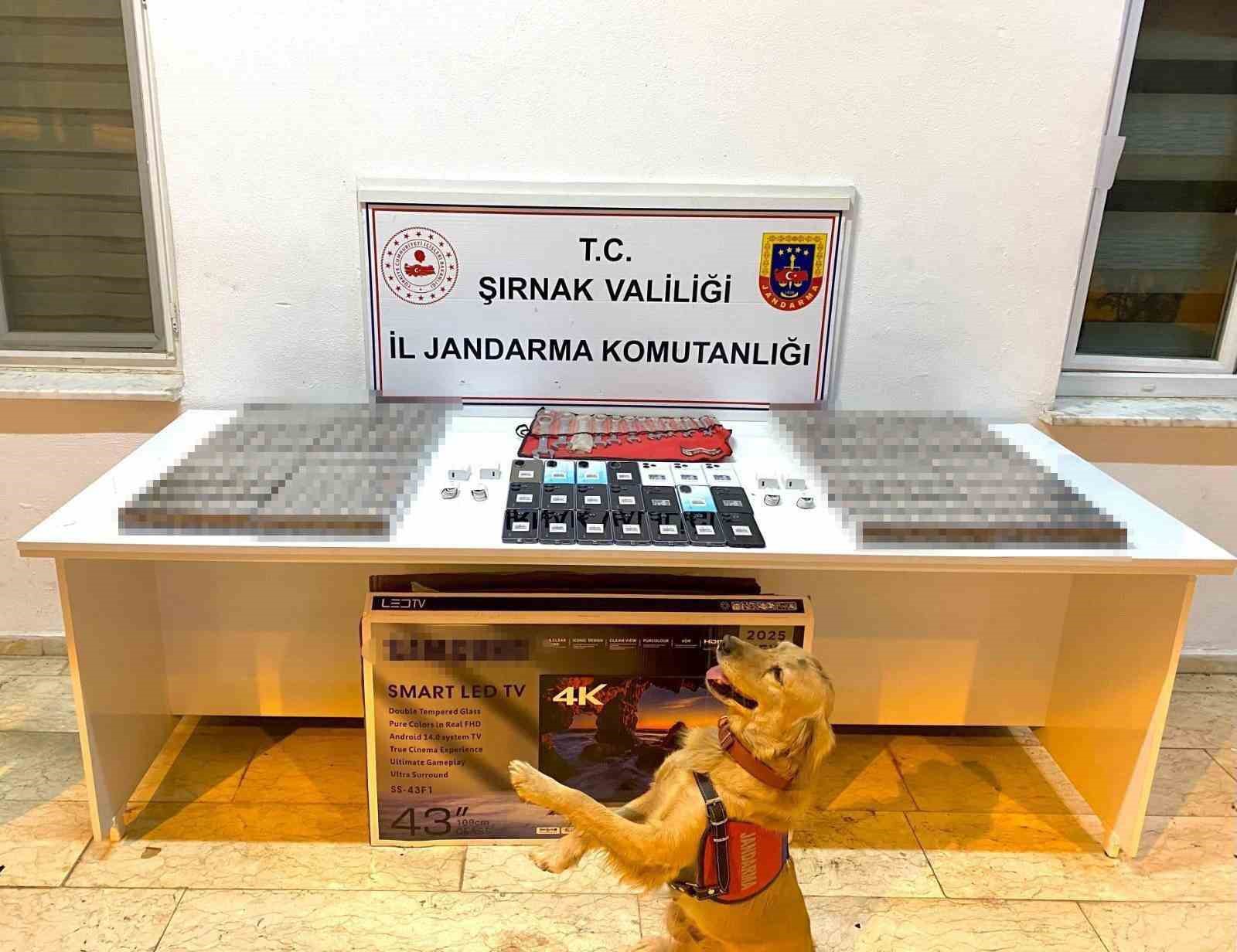 sirnakta jandarmadan kacakcilik ve uyusturucu operasyonu 1 7bpcAYOi